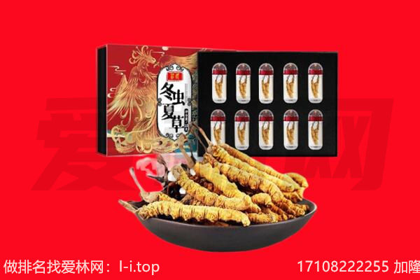 怀集县回收虫草.jpg